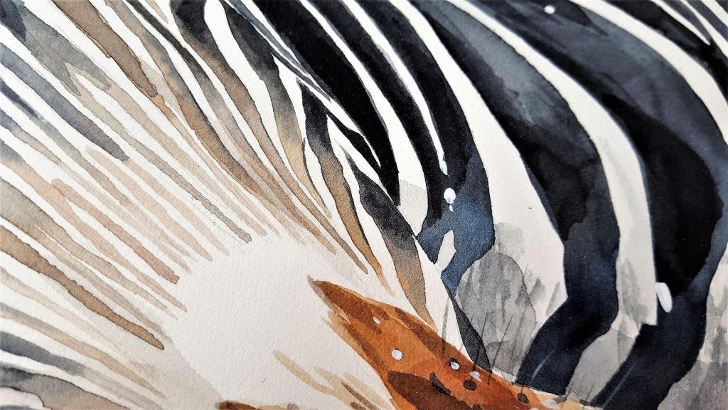 Having Faith in&nbsp;Yourself