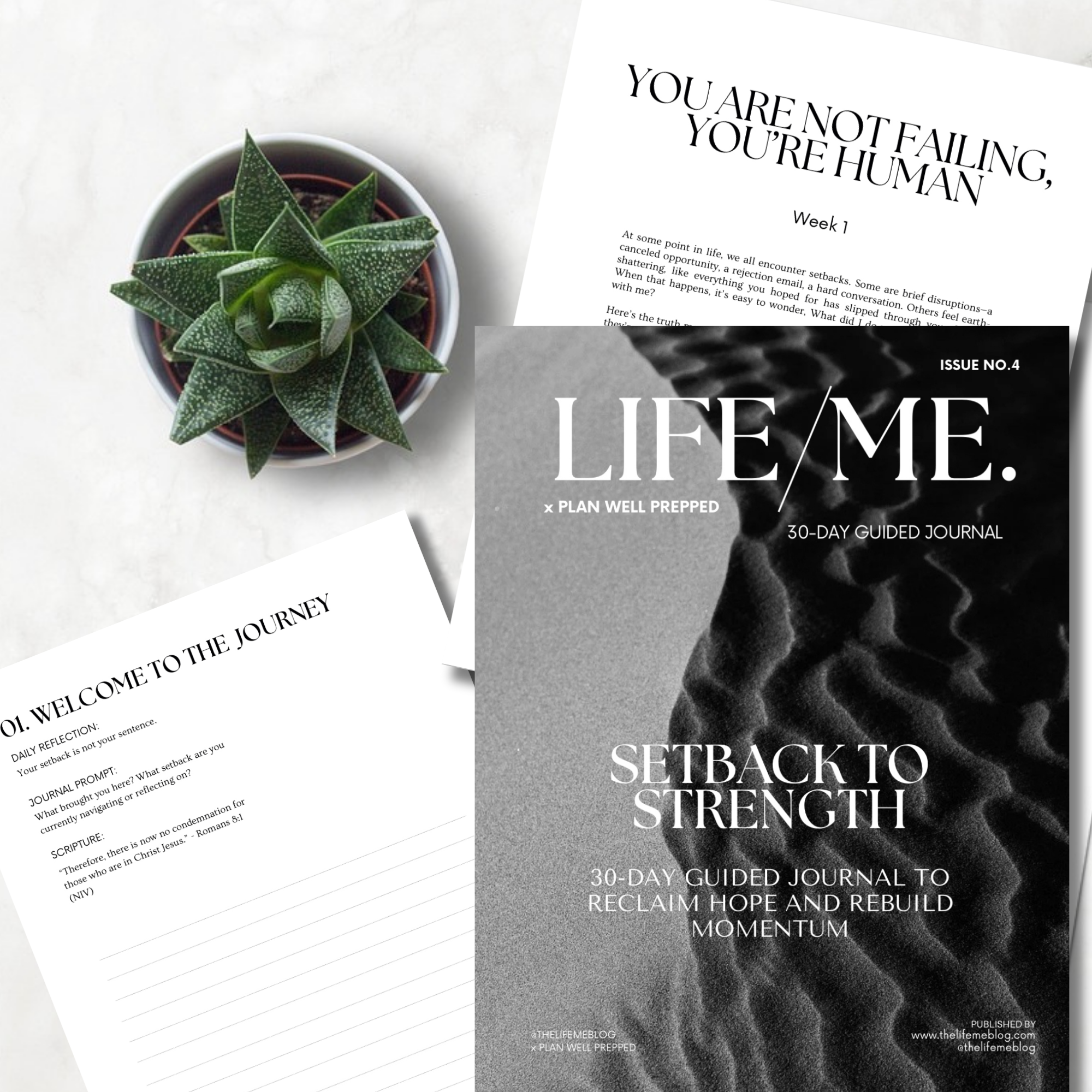 How To Deal With Setbacks – life/me.